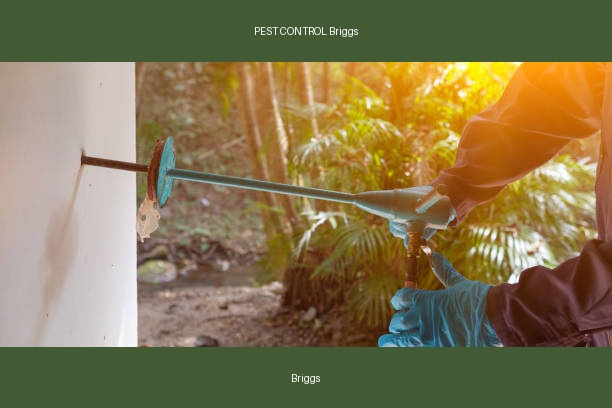 PEST CONTROL Briggs